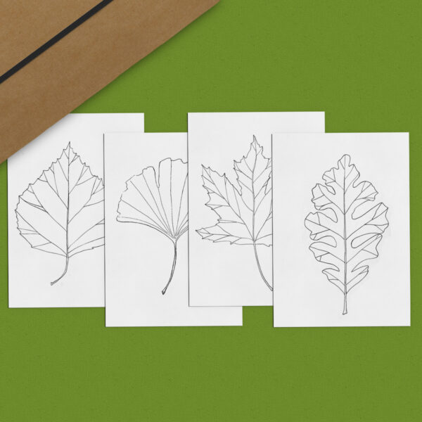 Autumn Leaf Pack